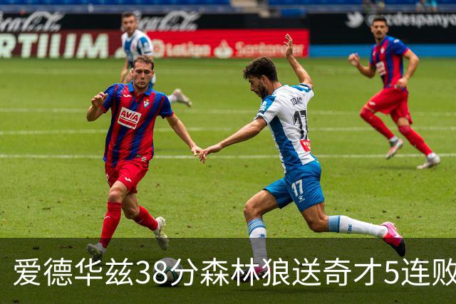 爱德华兹38分森林狼送奇才5连败 活塞力克黄蜂